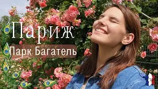 VLOG || Розы и павлины в Париже / Получила очки / Корейские продукты