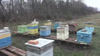 конец сезона ленивого пчеловода.
