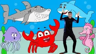 Sea Creatures Song | Learn Ocean Animals For Children | Addy!