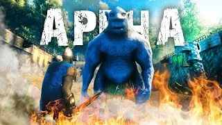 Valheim ARENA or SURVIVAL ARENA in Valheim
