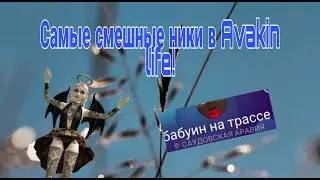 САМЫЕ СМЕШНЫЕ НИКИ В AVAKIN LIFE! | Avakin life