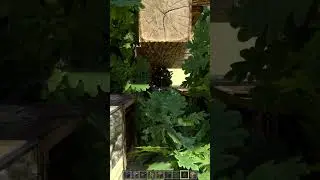 Realistic leaves in Minecrft Bedrock with RTX ON   