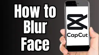 How to Blur Face in CapCut Picture