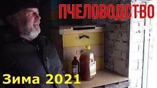 Пчеловодство / Как зимуют пчеловоды / Вакцинация .