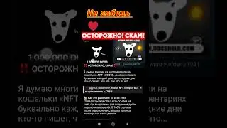 ОСТОРОЖНО СКАМ!!!! ПОКУПАЙТЕ NFT В DOGS ТОЛЬКО ЗА ВНУТРИИГРОВУЮ ВАЛЮТУ!!!