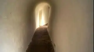 прот Александр Старостенко Что ты маешься душа ИрИна