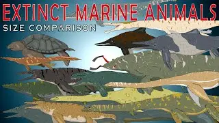 Extinct Marine Animals Size Comparison vol.1 (Mosasaurus, Dakosaurus, Archelon, Shastasaurus)