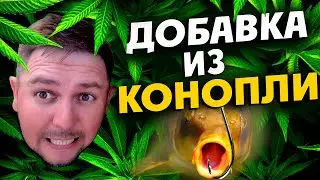 СЕКРЕТНАЯ ДОБАВКА.😎 ДАЙ РЫБЕ ПРОСРАТСЯ!😜