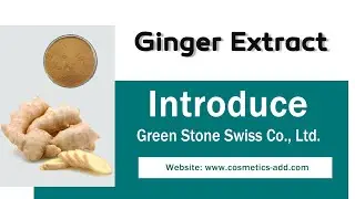 Ginger Extract