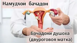Чаро бачадон Душоха мешавад? Хомиладори бо бачадони Душоха