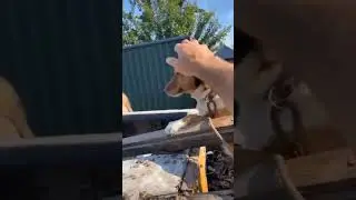 Видео про подрыв ГЕС. Как сегодня живут люди в Херсоне.