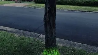 Doctor Who scanning effect in After Effects