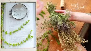 All About Hanging Herb Bundles | All About Spellcraft | Base Recipe