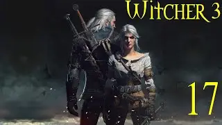 The Witcher 3 Wild Hunt Ep 17 (Towerful of Mice) 4K