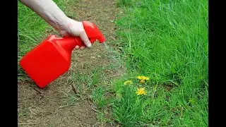 Как избавиться от травы и сорняков За 3 секунды!
