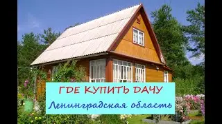 Санкт- Петербург Где купить дачу