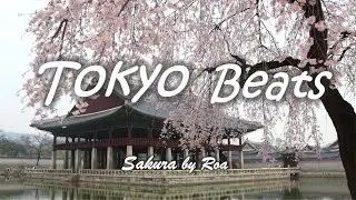 Beautiful Japanese Music ~ Modern Electro + Traditional Japanese Instrumental - Sakura by Roa