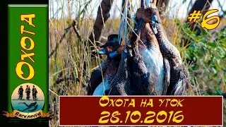 Охота на уток