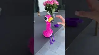 Surprising my 40 month old toddler with the viral gotta go Flamingo!