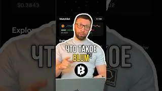 Что такое проект BLUM❓