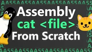 Making Cat Command from Scratch with Assembly