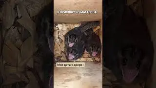 И их как-раз столько же…😅 
