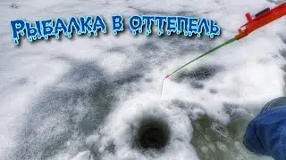 КРУПНЫЙ ОКУНЬ С ПЕРВОЙ ЛУНКИ!Ловил Плотву,а наловил Окуня)