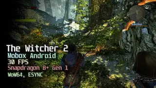 The Witcher 2 на Android (Mobox WoW64, Snapdragon 8+ Gen 1, Turnip DXVK)