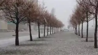 Бобруйск 22.11.17