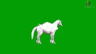 Pegasus 2 Green Screen HD