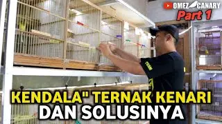 BERBAGAI MASALAH TERNAK KENARI DAN SOLUSINYA‼️PART 1 PEMULA WAJIB TAU