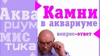 #Аквариумистика. Основные понятия. .Камни в аквариуме. #shorts