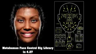 Metahuman Face Control Rig Board Library in Unreal Engine 4.27
