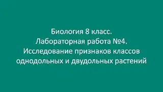 Биология 8 класс. Лаб. работа №4. Исследование признаков классов однодольных и двудольных растений