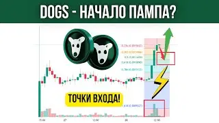 🐕 КРИПТОВАЛЮТА DOGS - КОГДА ПОКУПАТЬ? ЧЕГО ЖДАТЬ? ОБЗОР И ПРОГНОЗ