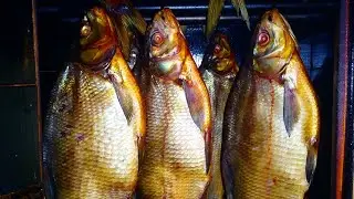 Коптим всё рыба холодного и горячего копчения
