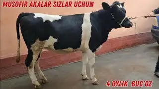Rossiyski Hunojinlar ZO'RLARI Keldi 