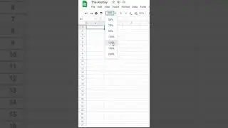 Zoom in Google Sheets