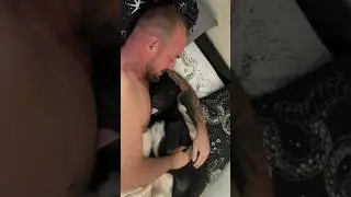 Вчера она была не в настроении, а сегодня любовь🫶🏻😘#тониалабай #чёрнаямамба #щенокалабая