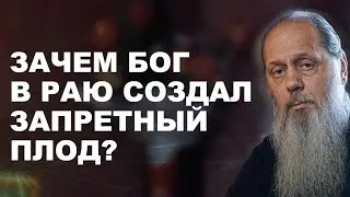 Зачем Бог в Раю создал запретный плод? О. Владимир Головин