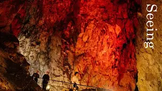 Nature Photography in Cave