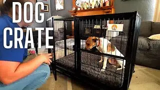 Large dog crate with divider for 2 dogs