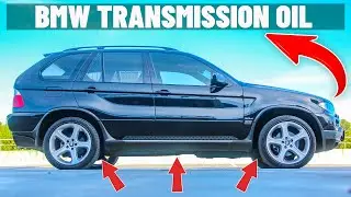 WHAT IS THE BEST OIL TO PUT INTO A BMW AUTOMATIC TRANSMISSION EVERY BMW OWNER SHOULD KNOW
