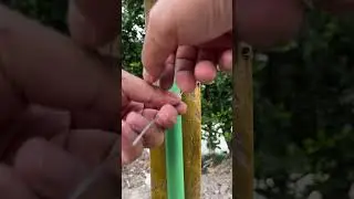 Genius... So Easy to Secure Pipes to the Wall with Wire!