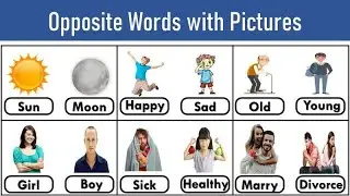 30+ Opposite Words in English Vocabulary | Learn Antonyms with Pictures