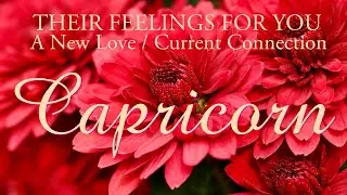 CAPRICORN love tarot ♑️ This Person Will Apologise Capricorn They Have Regrets