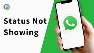 How to Fix WhatsApp Status Not Showing Problem