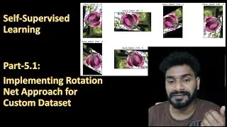 Part 5.1: Implementing RotationNet approach for Custom Data