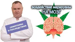 🧠Воздействие марихуаны на мозг — симптомы и последствия👨‍⚕️