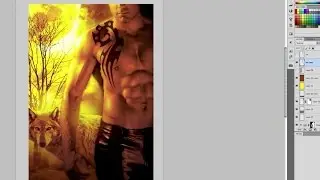 Book cover creation